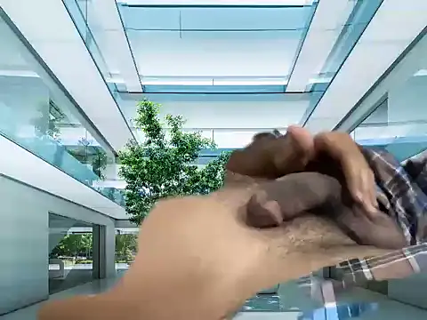 mdlaif1111 online show from April 8, 2026, 9:33 am