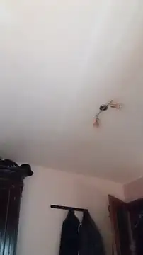 Der Schoene Penis online show from January 11, 2026, 1:07 pm