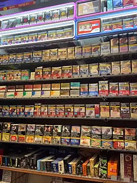 Dominic2295 online show from February 13, 2026, 5:07 am