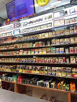 Dominic2295 online show from February 9, 2026, 5:05 am