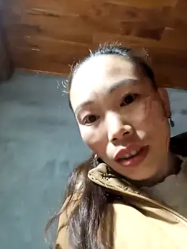 Snapshot of Nllpvp chatting on January 31, 2026, 11:14 pm Nllpvp online show from January 31, 2026, 11:14 pm