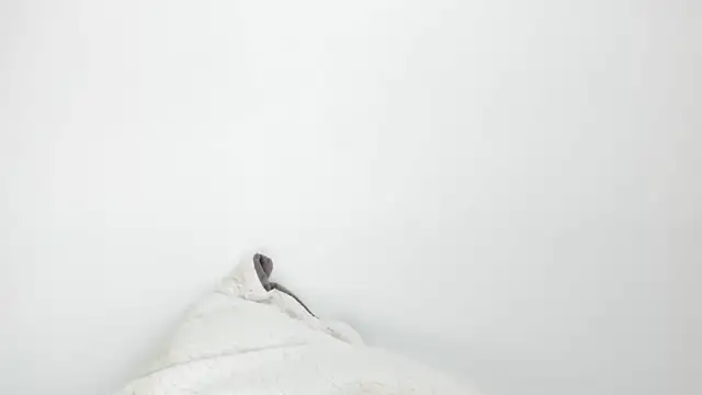 Sarah sumemers online show from March 4, 2026, 8:16 pm