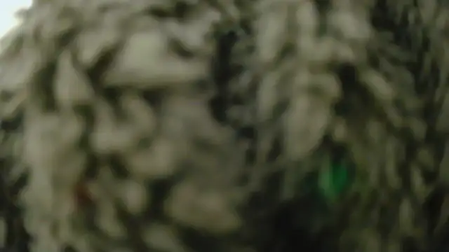 Snapshot of Masui chatting on February 8, 2026, 7:50 am Masui online show from February 8, 2026, 7:50 am