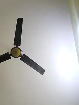 trinasa online show from January 12, 2026, 8:04 pm