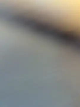 wy2026 online show from April 6, 2026, 7:09 am