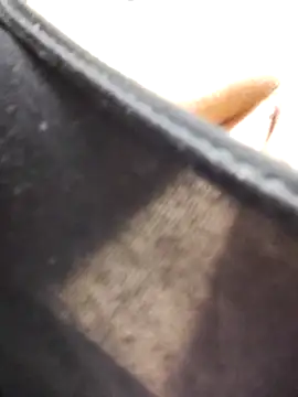 Snapshot of kadani chatting on February 6, 2026, 3:57 am kadani online show from February 6, 2026, 3:57 am