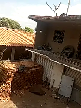 --------bucetuda------- online show from January 19, 2026, 12:53 pm