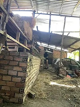 Ginny 2x online show from February 20, 2026, 6:26 am