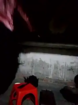 cdyyds-69 online show from February 2, 2026, 10:42 pm