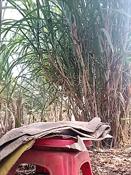 leona118 online show from April 3, 2026, 1:01 am