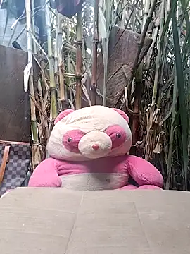 leona118 online show from February 11, 2026, 1:27 am