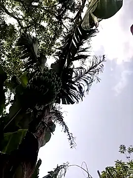 leona118 online show from April 11, 2026, 7:45 am