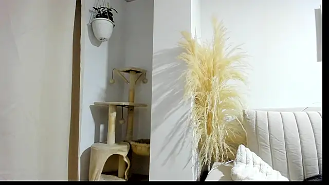  Sweet ary online show from April 8, 2026, 2:57 am