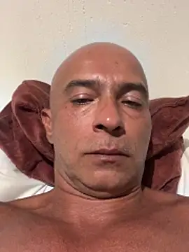 dogfrota online show from February 21, 2026, 3:41 am