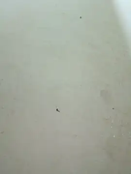 Snapshot of Lyly-68688 chatting on February 9, 2026, 2:15 pm Lyly-68688 online show from February 9, 2026, 2:15 pm