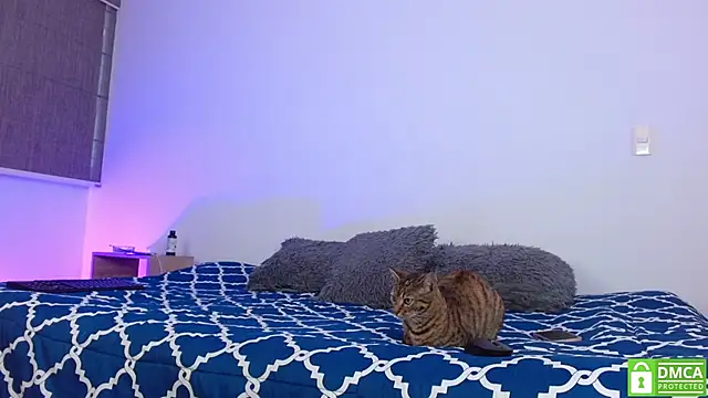 Noyrx online show from February 16, 2026, 6:06 pm