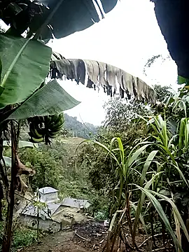 Snapshot of kaia-cam chatting on February 20, 2026, 6:37 am kaia-cam online show from February 20, 2026, 6:37 am