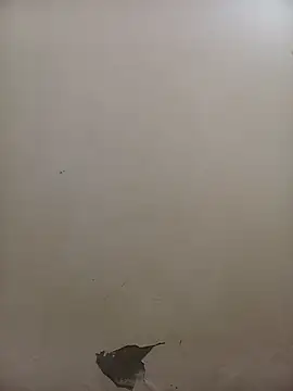 Snapshot of PatriciaVen chatting on February 5, 2026, 5:36 am PatriciaVen online show from February 5, 2026, 5:36 am