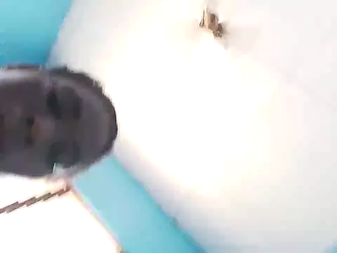 bigassx468 online show from March 5, 2026, 10:56 am