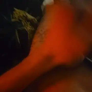 BlnAktivGay online show from March 15, 2026, 2:07 am