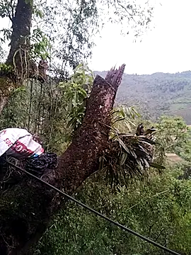 lia-coy online show from April 19, 2026, 12:44 am