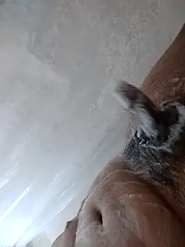 daringprince online show from January 17, 2026, 6:22 pm