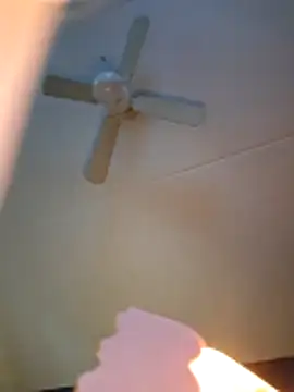 dewimp1 online show from February 3, 2026, 8:52 am