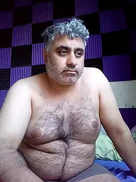 Bear 1985 online show from April 29, 2026, 2:32 pm