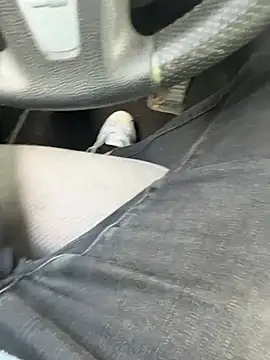 tony3729 online show from April 19, 2026, 1:23 pm