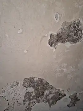 Ayush281999 online show from March 30, 2026, 2:51 pm