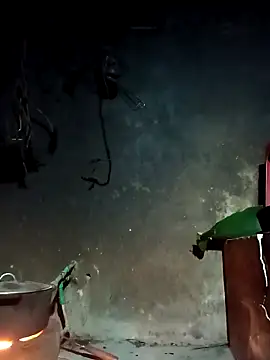 Hoa-tuylip online show from March 4, 2026, 10:17 pm