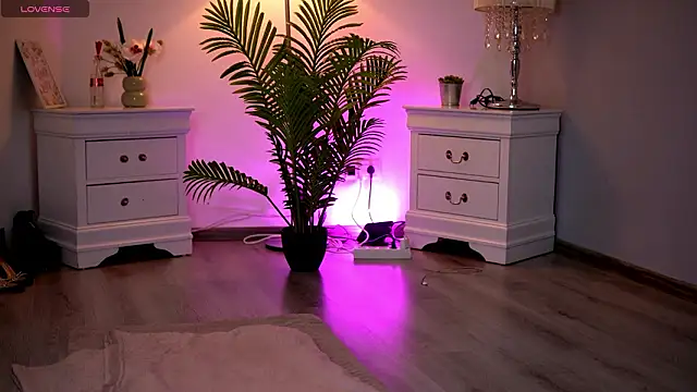 KassidyVibe online show from February 11, 2026, 11:10 am