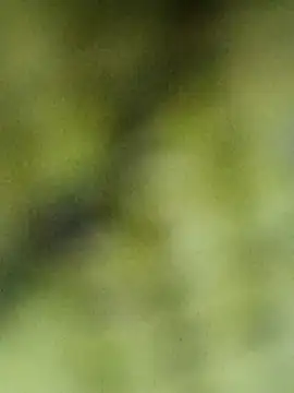 Babli sharma online show from April 2, 2026, 8:10 am