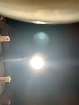 Snapshot of ngoccc-nga chatting on March 1, 2026, 1:11 pm ngoccc-nga online show from March 1, 2026, 1:11 pm