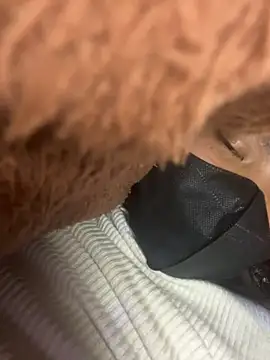 Snapshot of Violin_xue chatting on February 14, 2026, 11:32 am Violin xue online show from February 14, 2026, 11:32 am