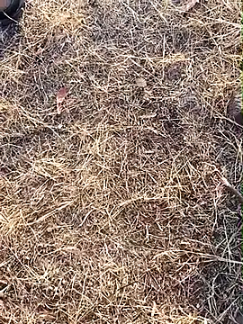 babu bull online show from February 13, 2026, 2:33 am