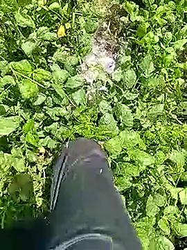 Cute Boy 4 online show from April 9, 2026, 6:30 am