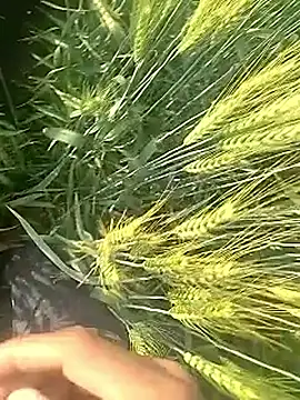 Snapshot of Cute_Boy_4 chatting on February 10, 2026, 3:27 am Cute Boy 4 online show from February 10, 2026, 3:27 am