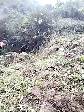 Tina-beo online show from March 13, 2026, 1:10 am