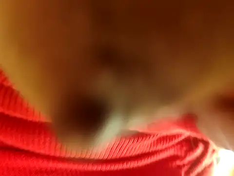 Brissperu18 online show from February 12, 2026, 9:09 am