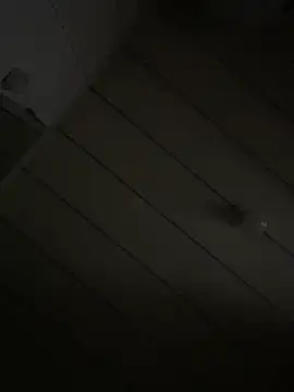 Youyou 12 online show from March 5, 2026, 12:57 pm