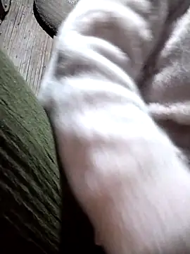 Bella-222 online show from March 22, 2026, 1:12 pm