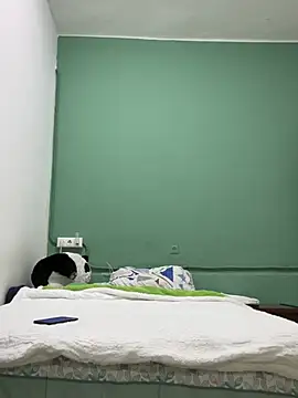 DavShi online show from February 25, 2026, 10:31 pm