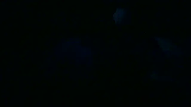 Luanatrav1 online show from March 19, 2026, 9:31 am