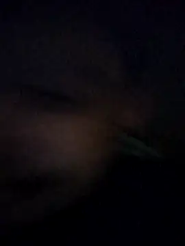 matheusalvesba online show from April 15, 2026, 12:38 am