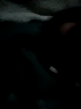 Snapshot of Ben10xblack chatting on May 11, 2026, 1:29 am Ben10xblack online show from May 11, 2026, 1:29 am