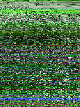 missgirl88 online show from April 17, 2026, 10:56 pm