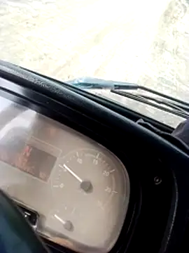 pau-de-ourod online show from April 13, 2026, 11:58 am