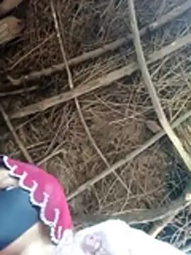 Meena sakshi online show from February 2, 2026, 5:28 am