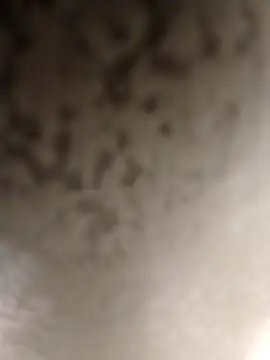 Taboada20 online show from March 6, 2026, 8:04 pm